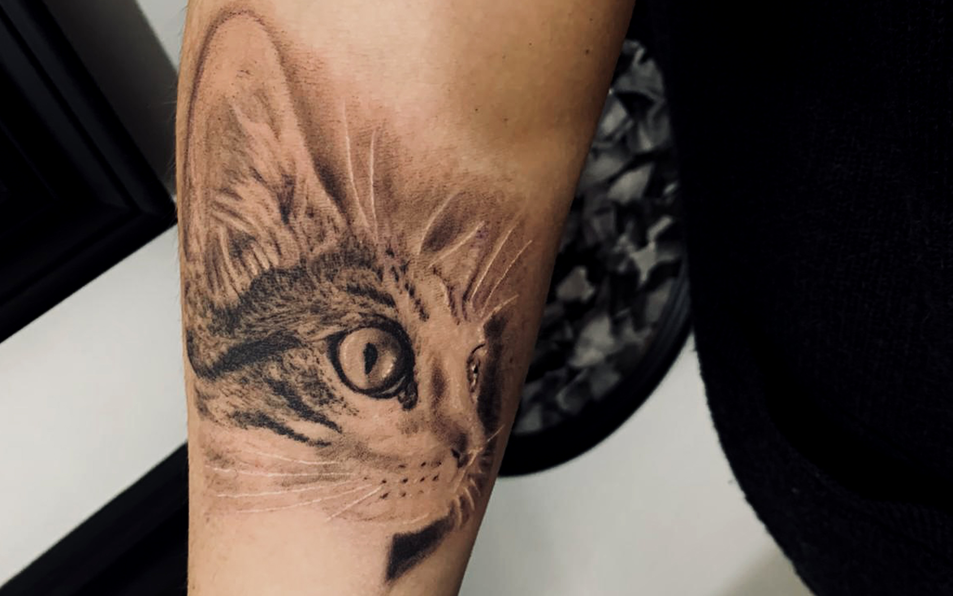 Tatuaggio gatto